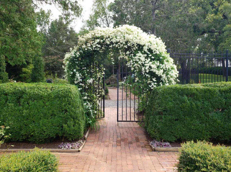 Tanglewood Park Arboretum, United States